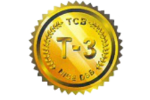 T3